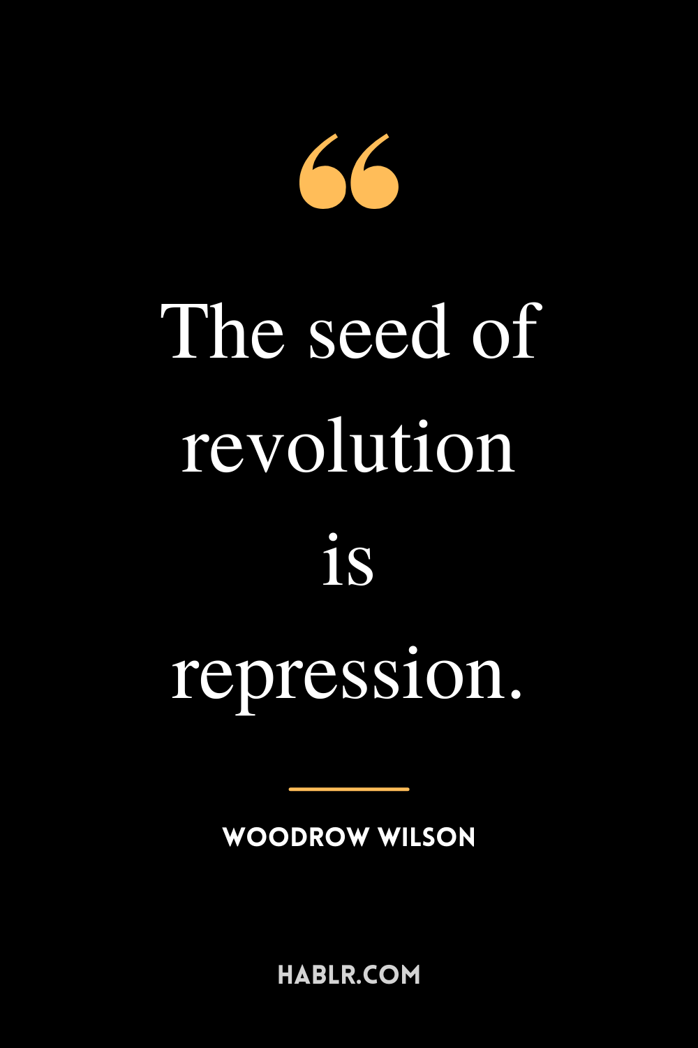 "The seed of revolution is repression." -Woodrow Wilson