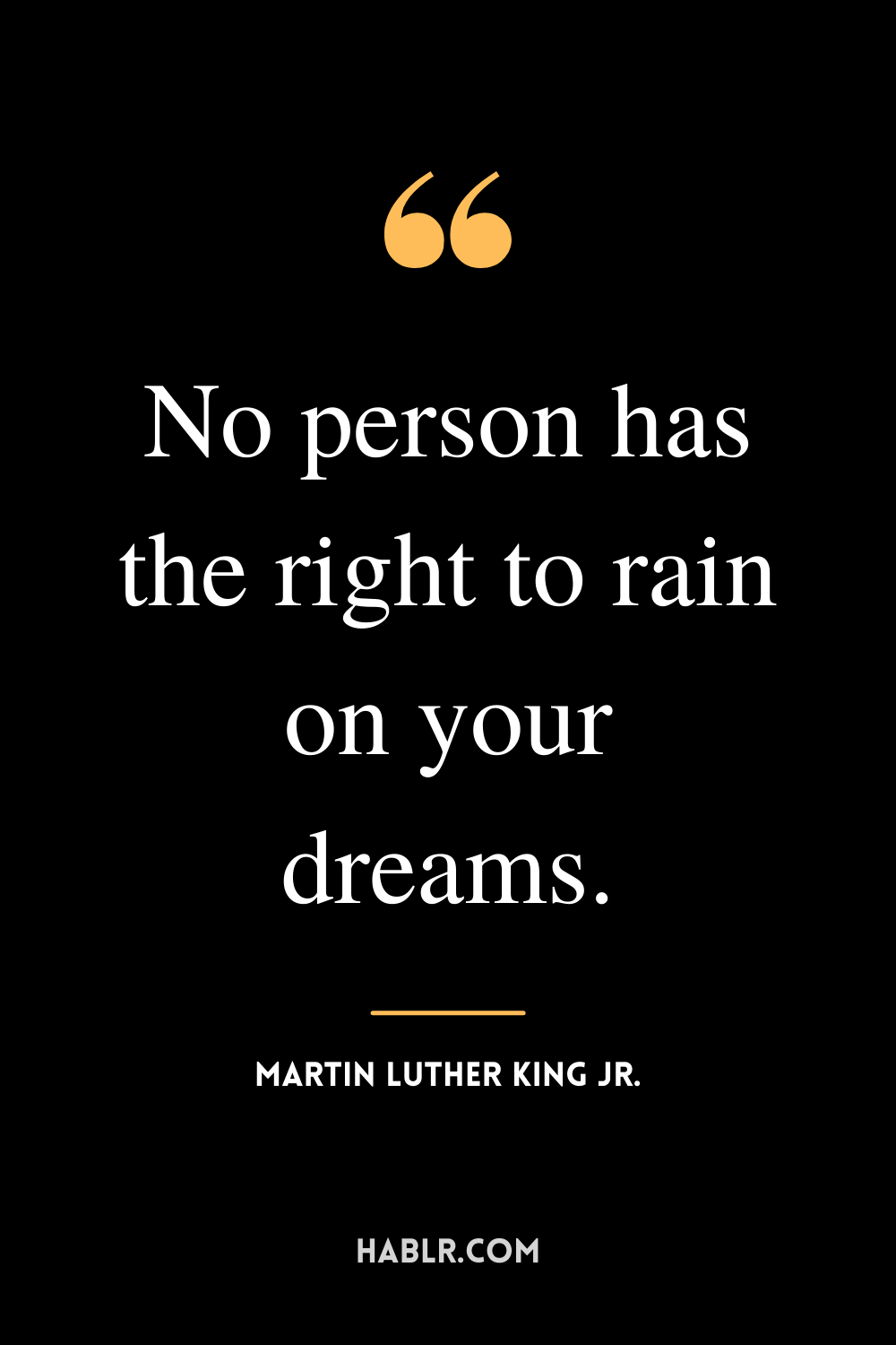 “No person has the right to rain on your dreams.” -Martin Luther King Jr.