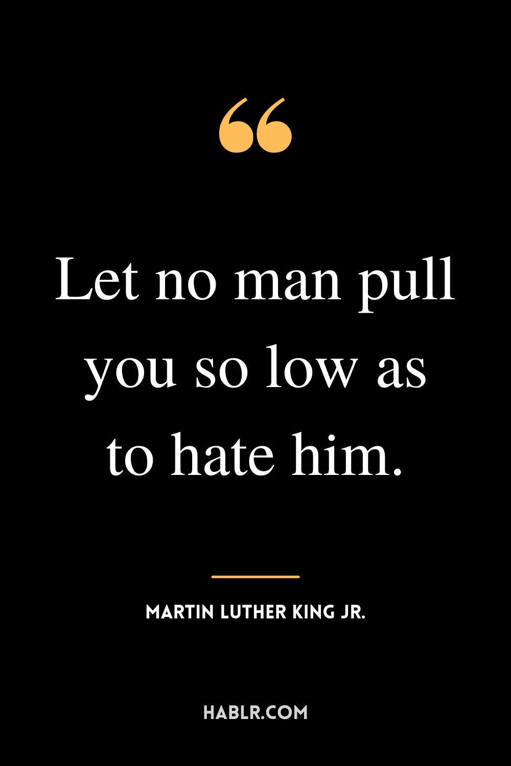 "Let no man pull you so low as to hate him." -Martin Luther King Jr.