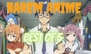 best harem anime