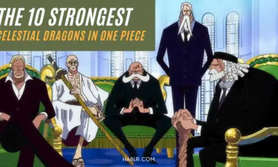 Celestial Dragons in One Piece