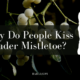 why do people kiss under mistletoe