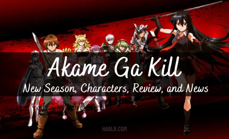 Akame Ga Kill: New Season, Characters, Plot Review, and News