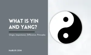 What is Yin and Yang Origin, Importance, Difference, Principles -min