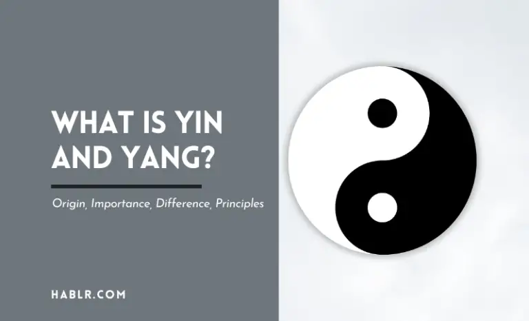 What is Ying and Yang? 5 Things You Need to Know