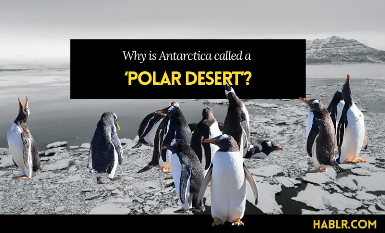 Why is Antarctica called a ‘polar desert’?