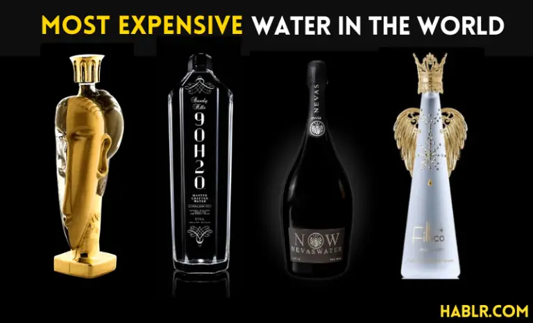 Top 10 Most Expensive Water in the World – 2022