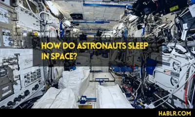 The Ultimate Secret of How do Astronauts Sleep in Space?