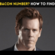 What is BACON NUMBER?