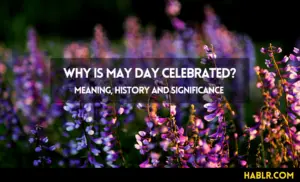 Why is May Day Celebrated?