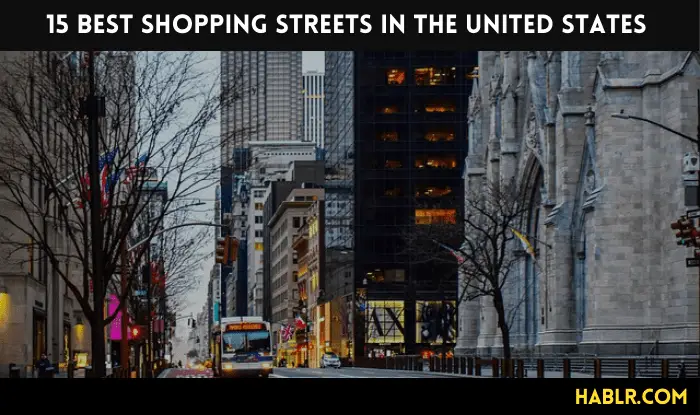 15 Best Shopping Streets in USA – 2022