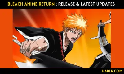 Bleach Anime Return : release & Latest updates
