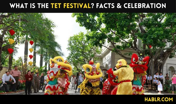 What is the tet festival? FACTS & CELEBRATION