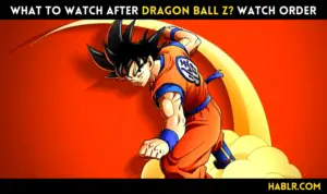 What to watch after Dragon Ball Z? Watch Order