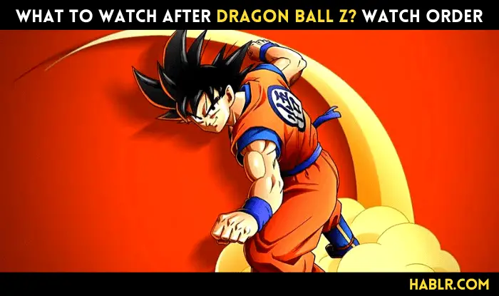 What to watch after Dragon Ball Z? Watch Order