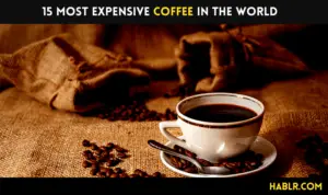 15 Most Expensive Coffee in the World