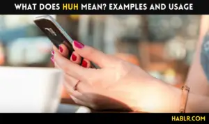 What does HUH mean Examples and Usage-min
