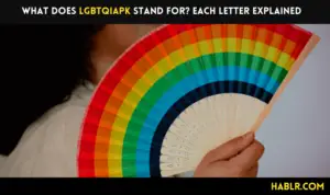 What does LGBTQIAPK stand for? Each Letter Explained