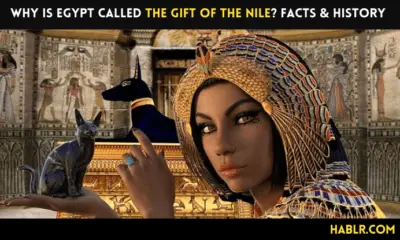Why is Egypt called the gift of the Nile? Facts and History