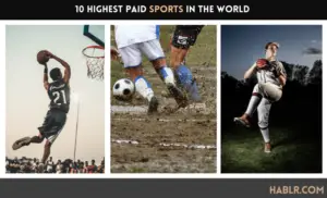 10 Highest Paid Sports in the World