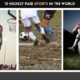 10 Highest Paid Sports in the World