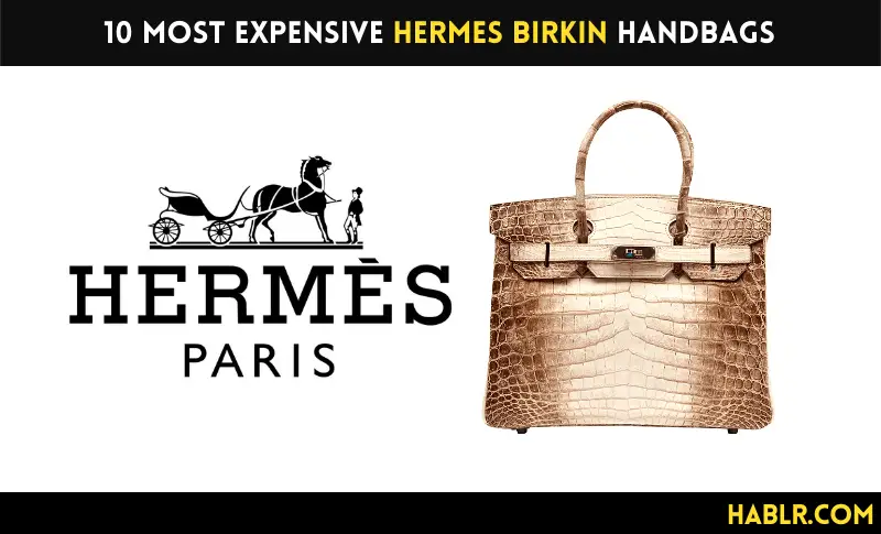 10 Most Expensive Hermes Birkin Bags - Hablr