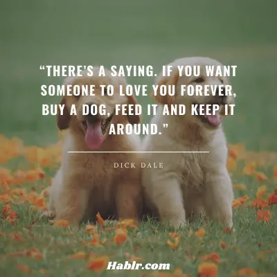 1. “There’s a saying. If you want someone to love you forever, buy a dog, feed it and keep it around.” 
