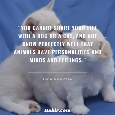 15. “You cannot share your life with a dog…or a cat, and not know perfectly well that animals have personalities and minds and feelings.” - Jane Goodall, British Anthropologist