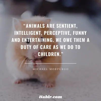 23. “Animals are sentient, intelligent, perceptive, funny and entertaining. We owe them a duty of care as we do to children.” - Michael Morpurgo, British Writer