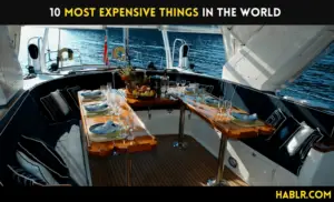 10 Most Expensive Things in the World