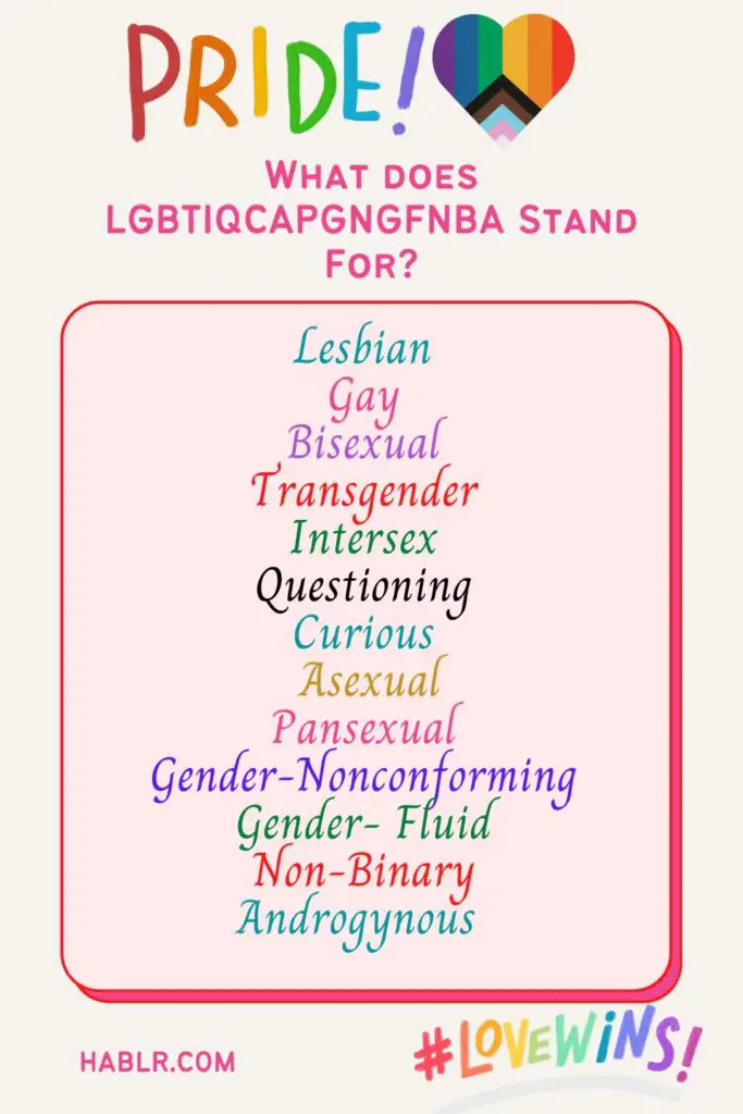 What does LGBTIQCAPGNGFNBA Stand For?