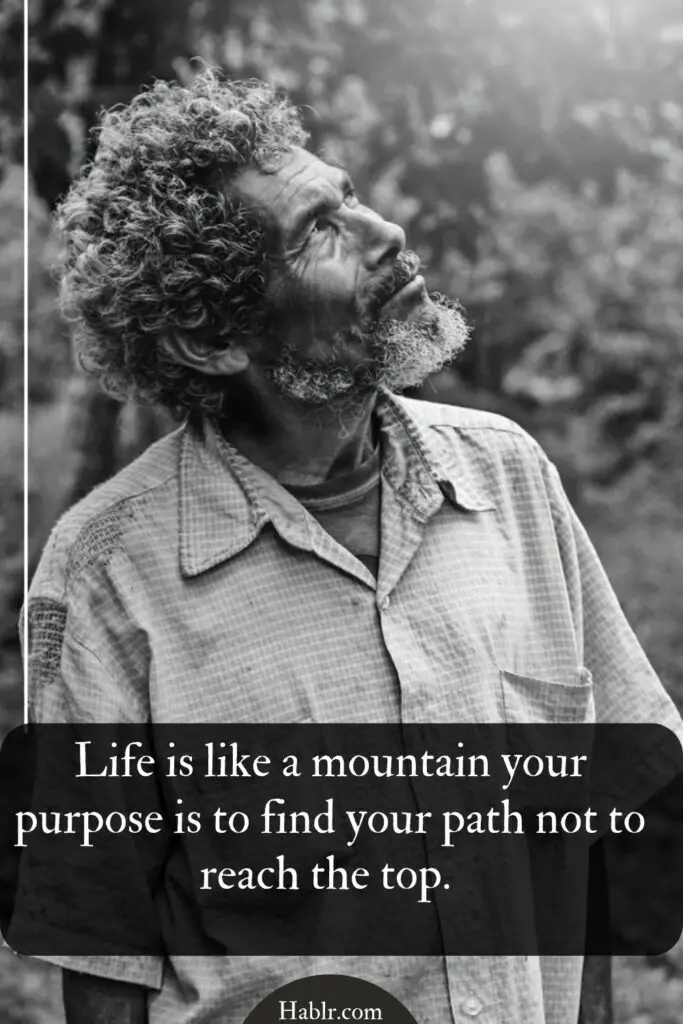 20. Life is like a mountain your purpose is to find your path not to reach the top.