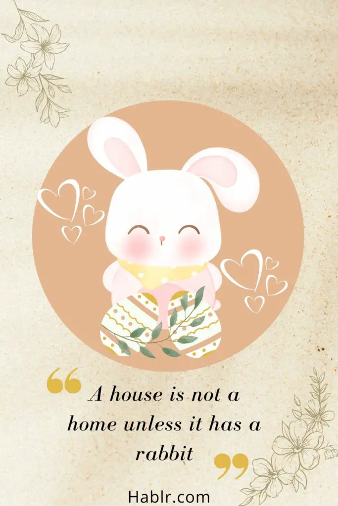 A house is not a home unless it has a rabbit.