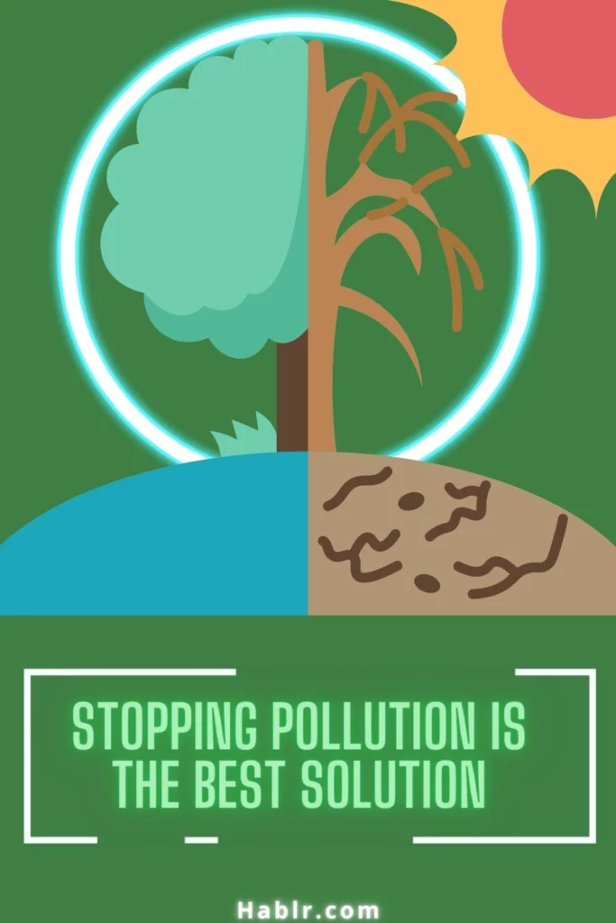 Stopping pollution is the best solution.
