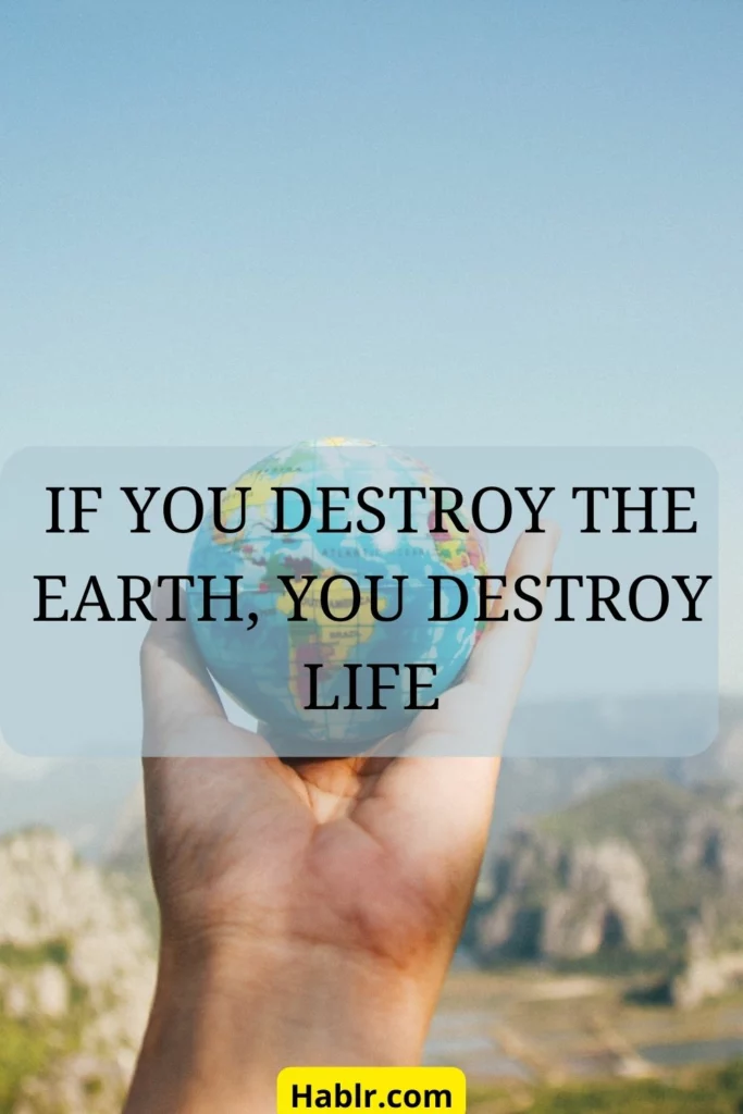 If you destroy the earth, you destroy life. 
