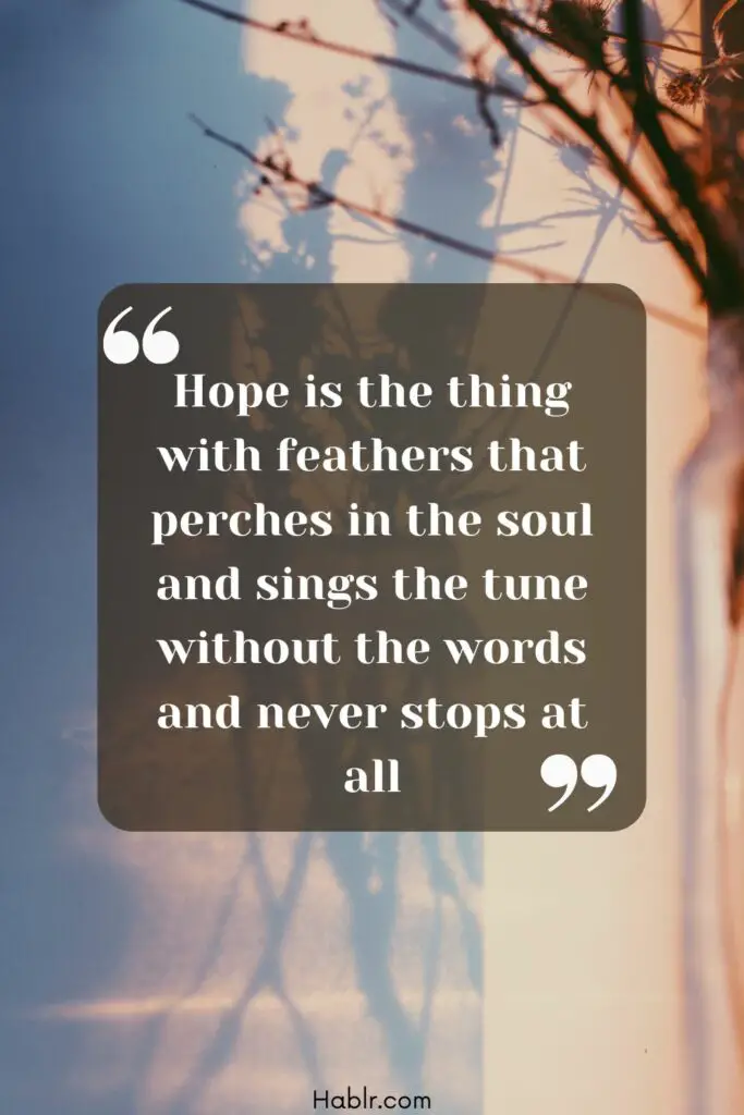 6. Hope is the thing with feathers that perches in the soul and sings the tune without the words and never stops at all.