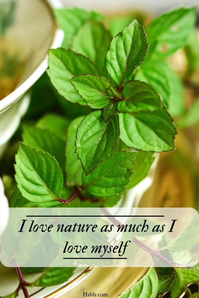nature love quotes