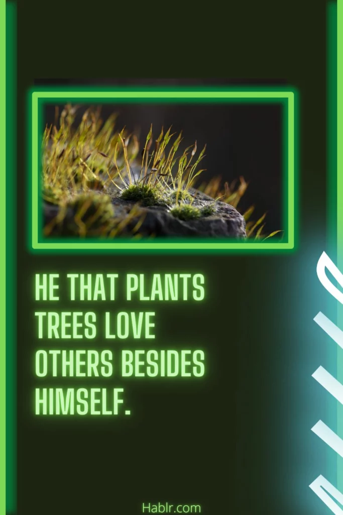 He that plants trees love others besides himself