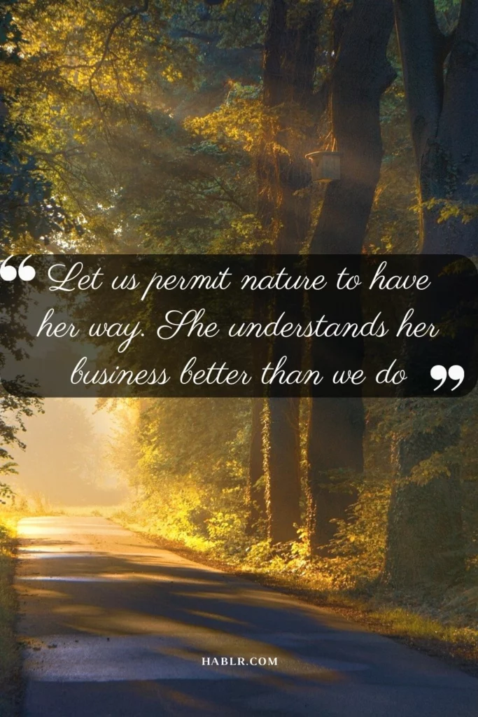   Let us permit nature to have her way. She understands her business better than we do.