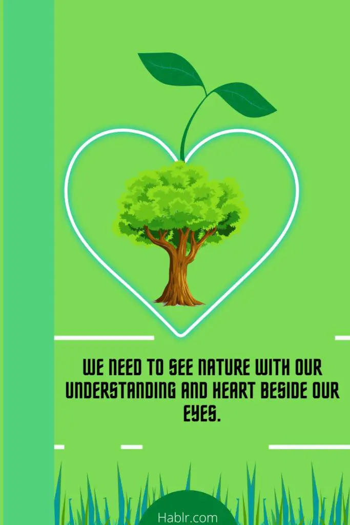 We need to see nature with our understanding and heart beside our eyes