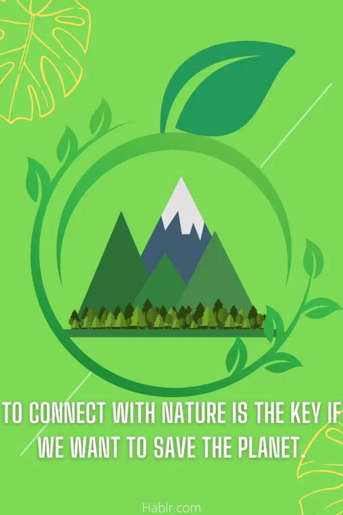  To connect with nature is the key if we want to save the planet