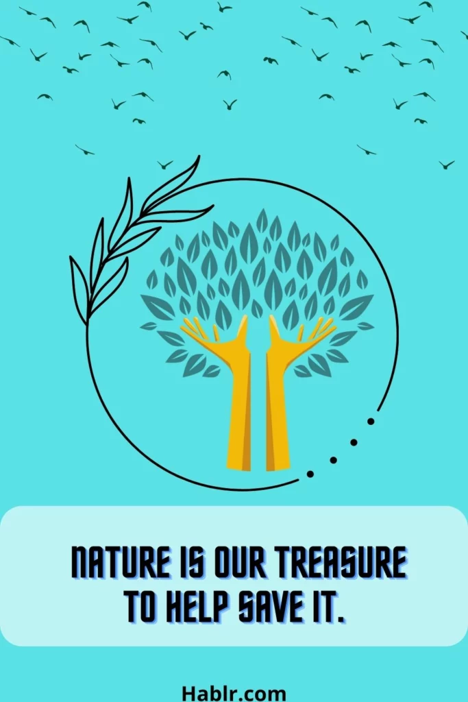 Nature is our treasure to help save it
