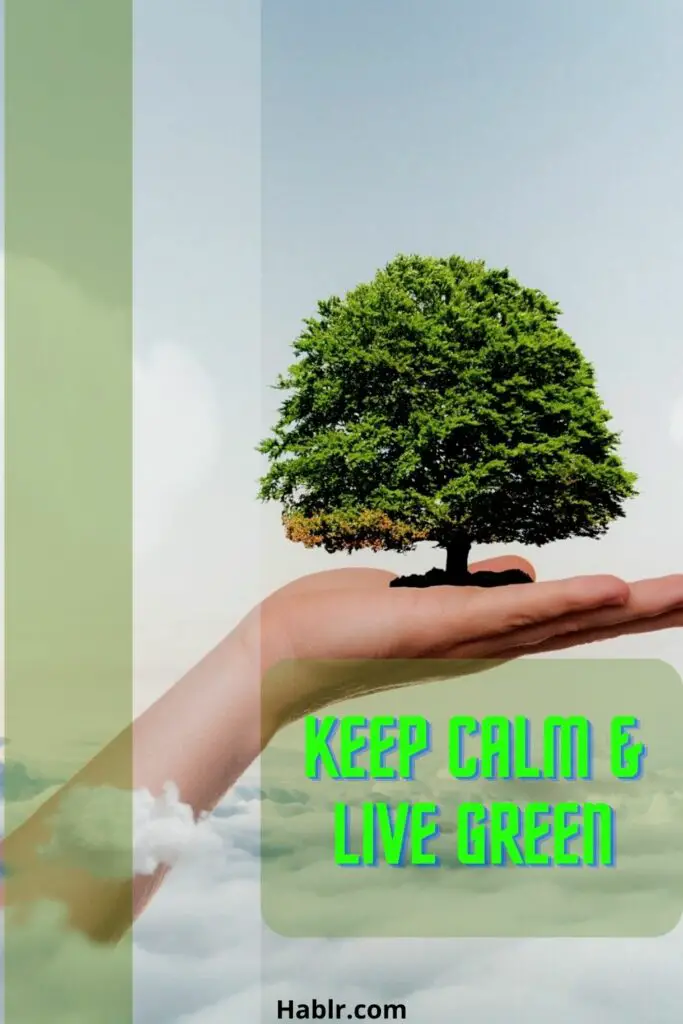 Keep calm and live green.