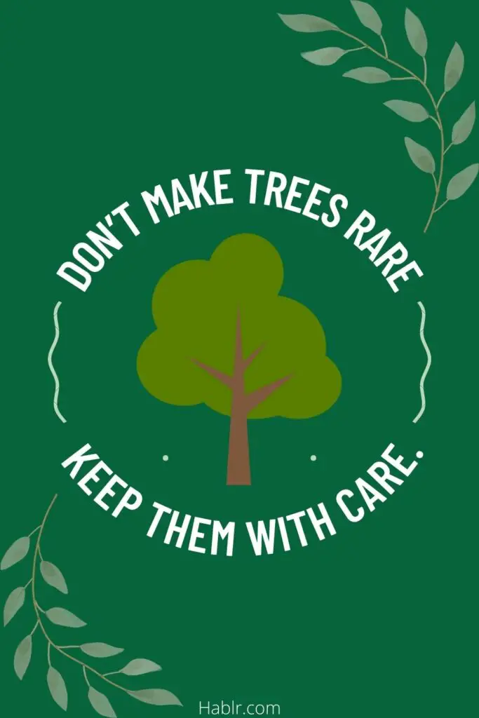 Don’t make trees rare, keep them with care.