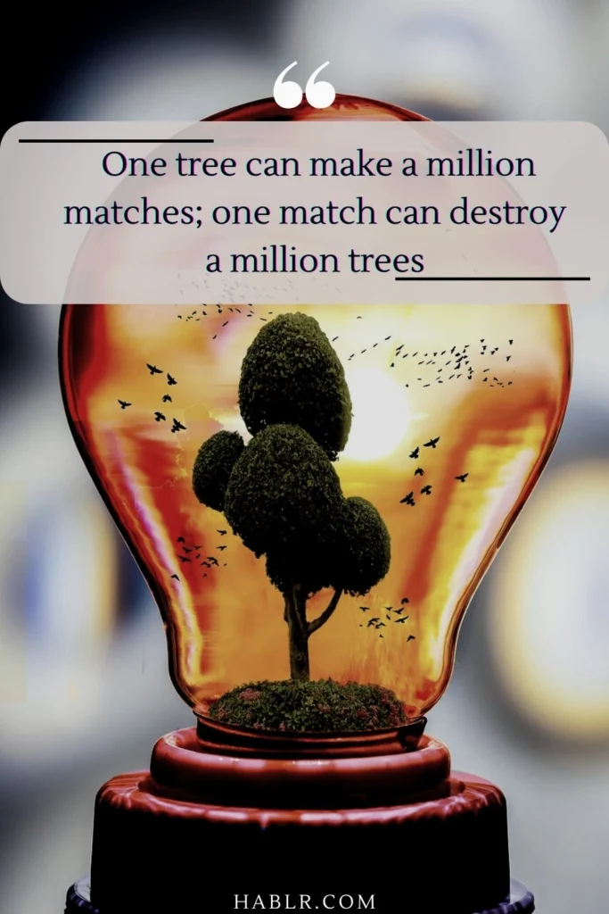   One tree can make a million matches; one match can destroy a million trees.