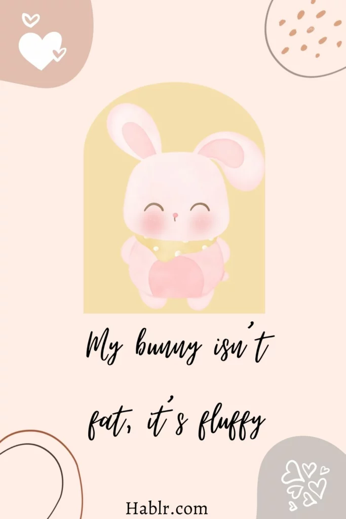  My bunny isn’t fat, it’s fluffy.