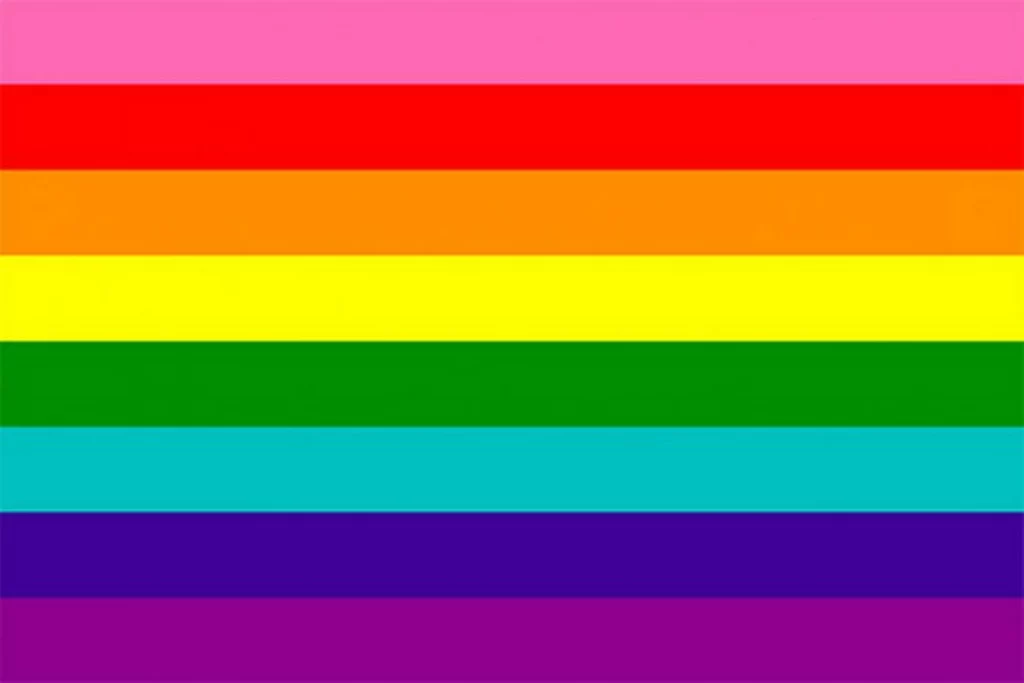 LGBTIQCAPGNGFNBA Flag