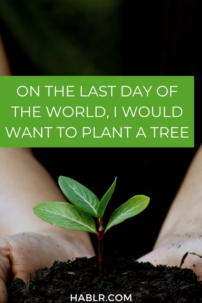 On the last day of the world, I would want to plant a tree.