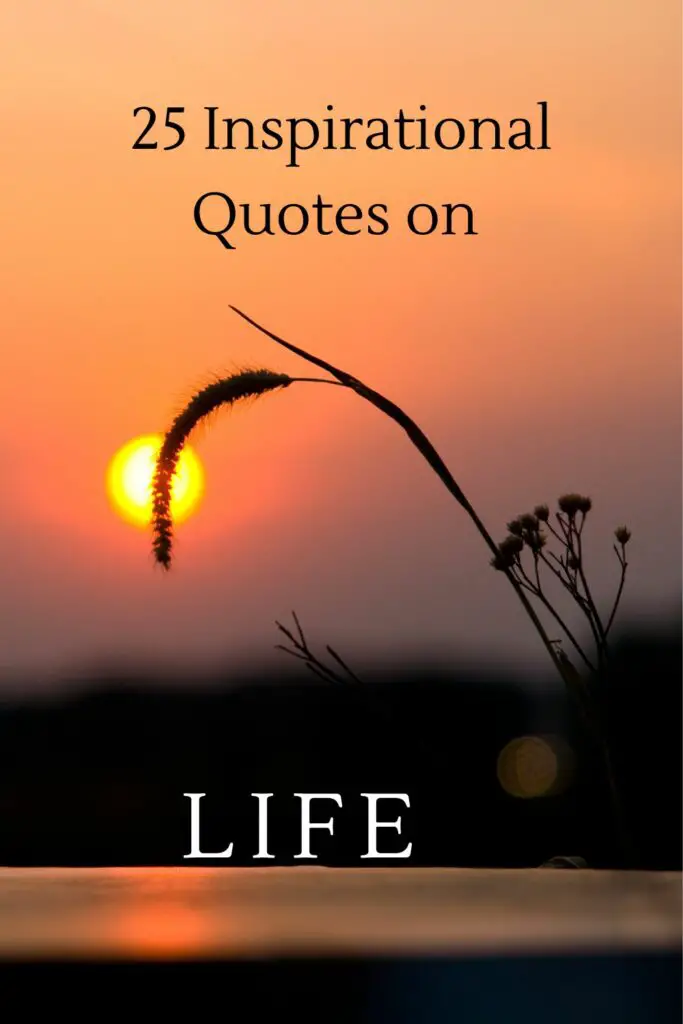 Inspirational quotes on life
