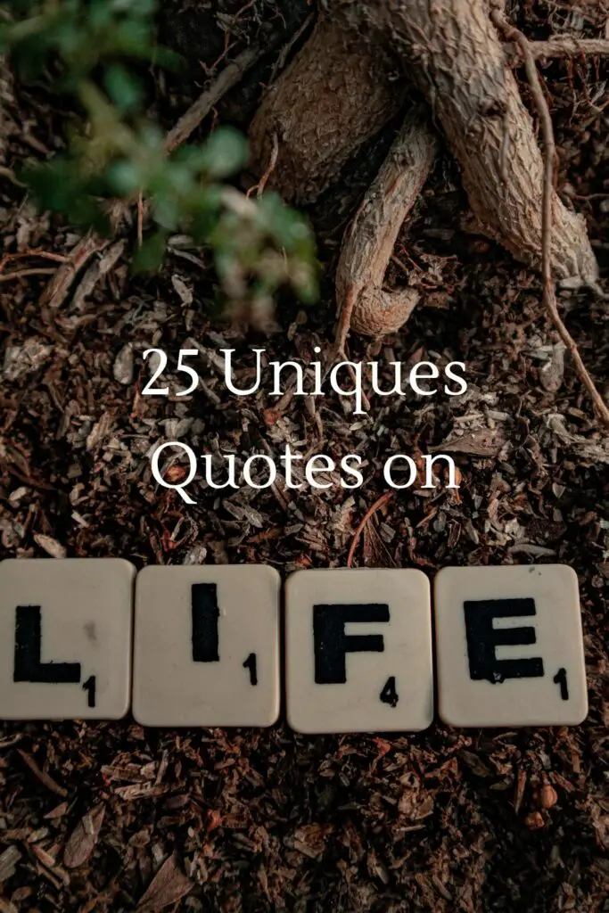 25 Unique Quotes on Life